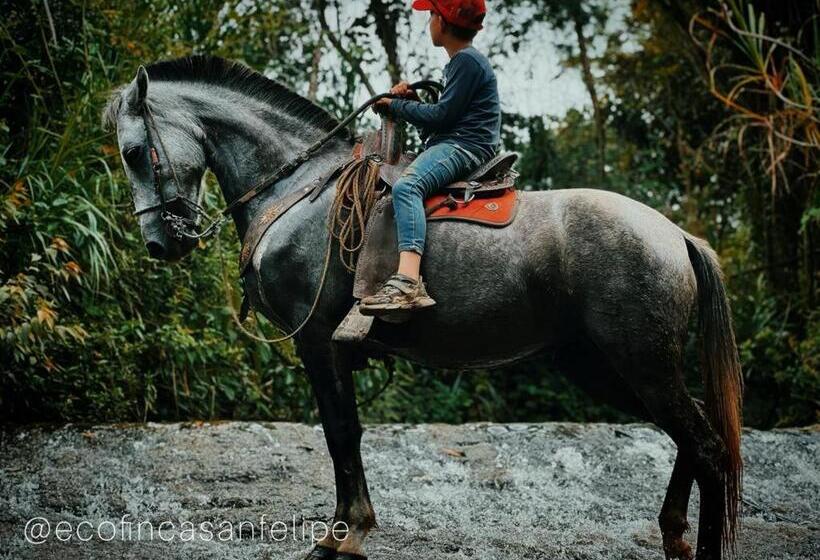 בקתת חדר, Engatama