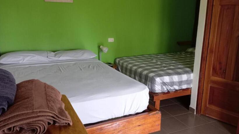 Номер Стандарт Вид на Сад, Kambutaleko