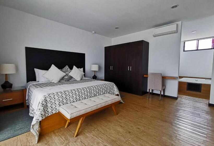 스탠다드 자쿠지 룸, Viña Del Cielo