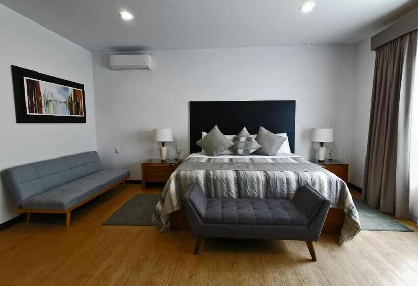 스탠다드 룸 킹사이즈 침대, Viña Del Cielo