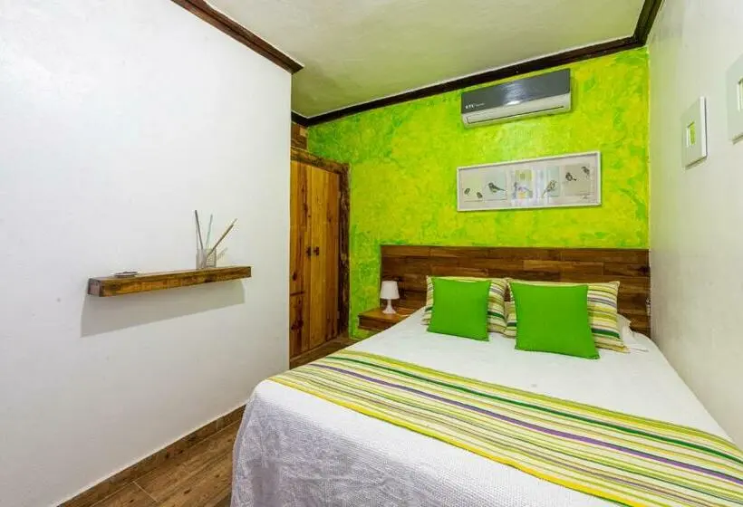 اتاق استاندارد, Vista De águilas Ecolodge