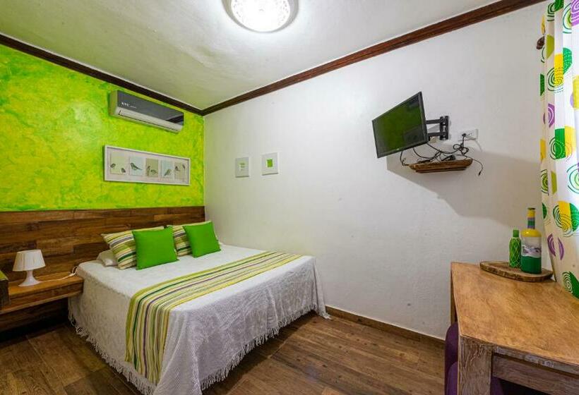 غرفة قياسية, Vista De águilas Ecolodge