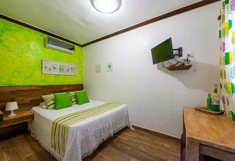 اتاق استاندارد, Vista De águilas Ecolodge