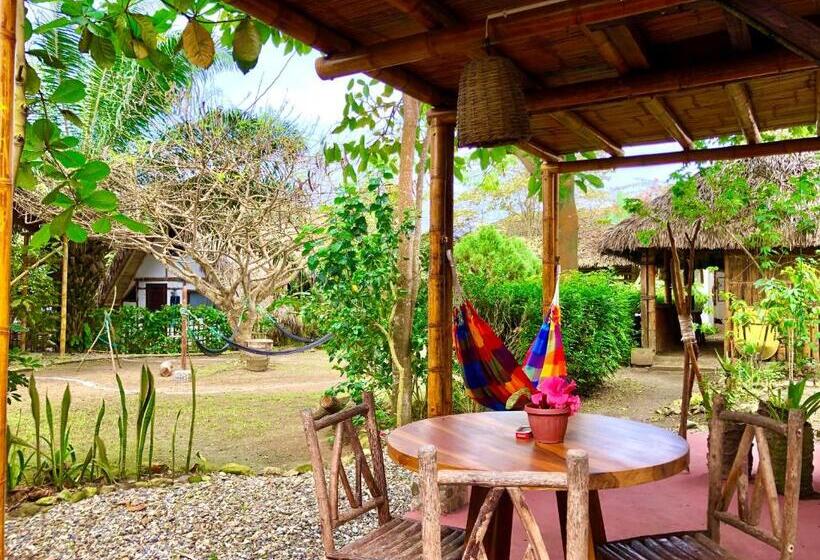 اتاق استاندارد, Hostal Los Orishas