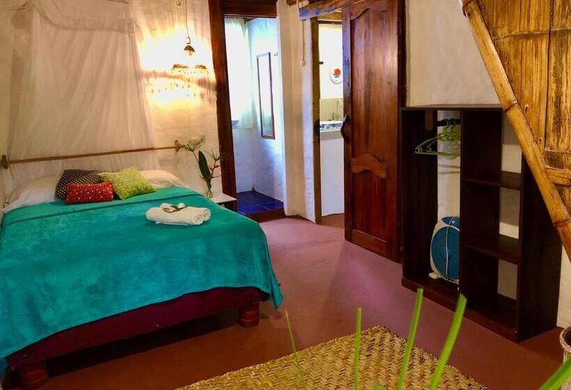 استودیو استاندارد با تراس, Hostal Los Orishas