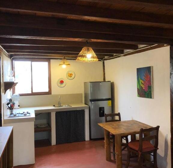 استودیو استاندارد با تراس, Hostal Los Orishas