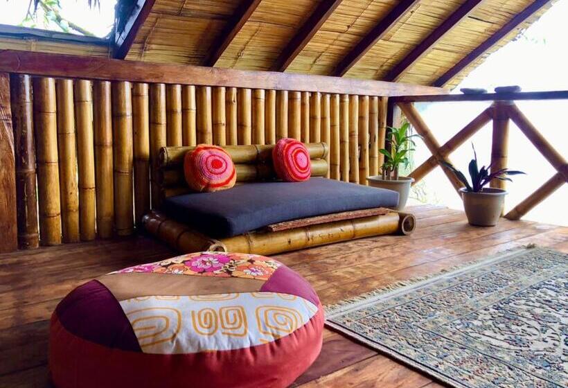 Студио Стандарт с Террасой, Hostal Los Orishas