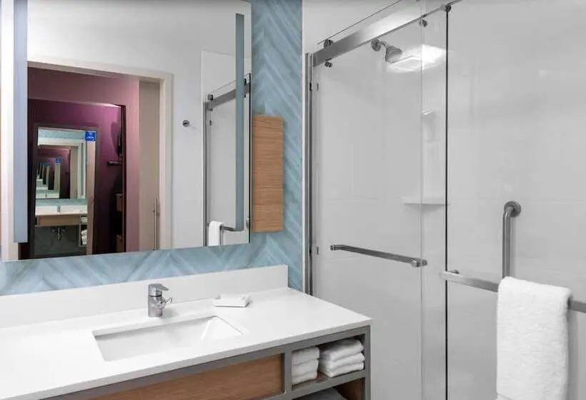 ダブルベッドスタンダードルーム, Hilton Garden Inn Ocala Downtown