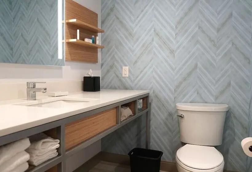 ダブルベッドスタンダードルーム, Hilton Garden Inn Ocala Downtown