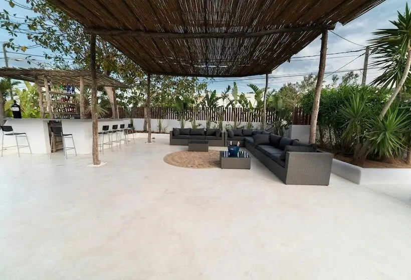 اتاق اکونومی, Paiise Hotels