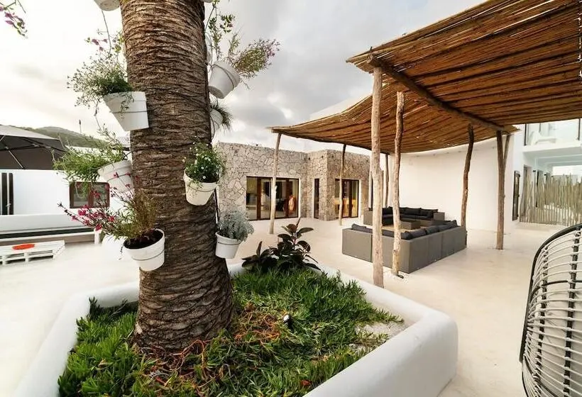 اتاق اکونومی, Paiise Hotels