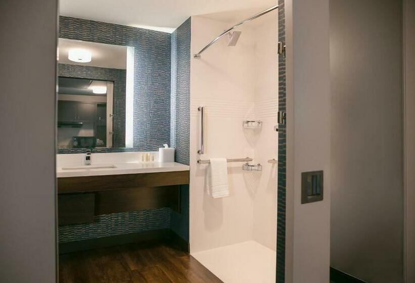 سوئیت با تخت بزرگ, Towneplace Suites Nashville Downtown/capitol District