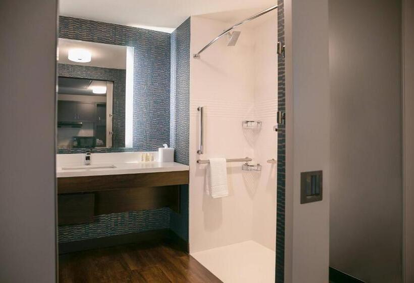 سوئیت با تخت بزرگ, Towneplace Suites Nashville Downtown/capitol District