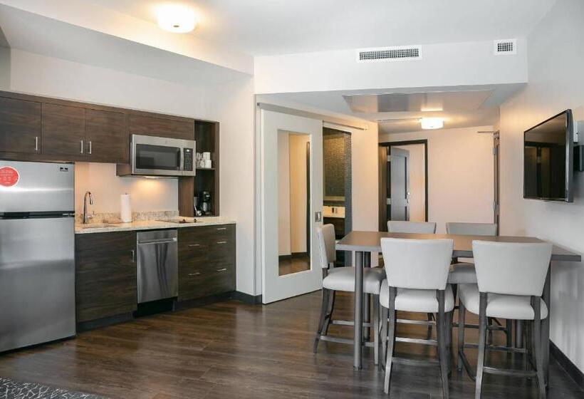سوئیت با تخت بزرگ, Towneplace Suites Nashville Downtown/capitol District