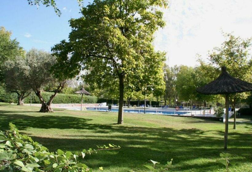 اتاق استاندارد یک نفره, Modern B&b Somosaguas