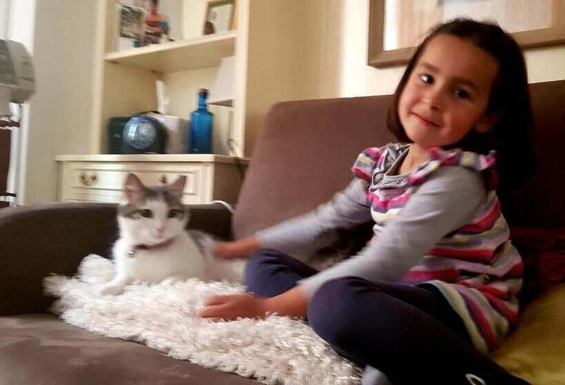 اتاق استاندارد یک نفره, Modern B&b Somosaguas