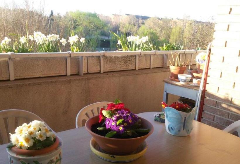 اتاق استاندارد یک نفره, Modern B&b Somosaguas