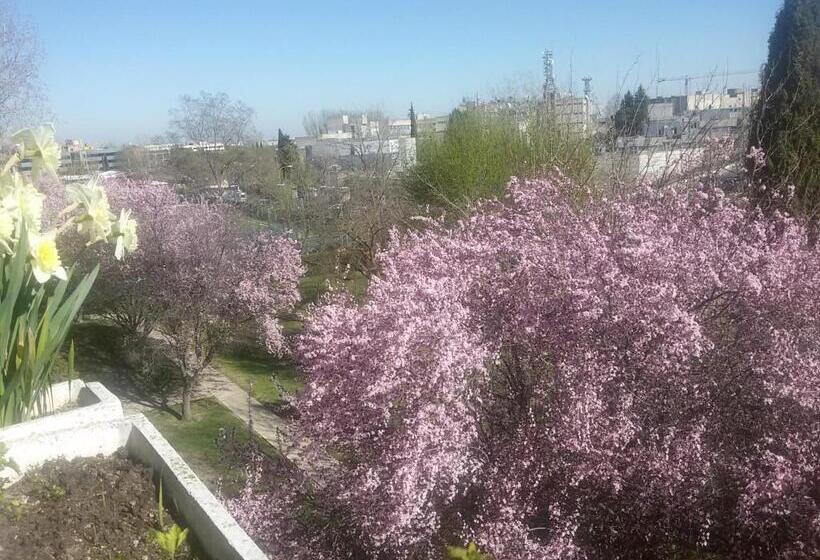 اتاق لوکس یک تخته, Modern B&b Somosaguas