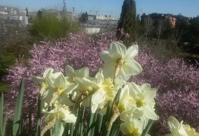 اتاق لوکس یک تخته, Modern B&b Somosaguas