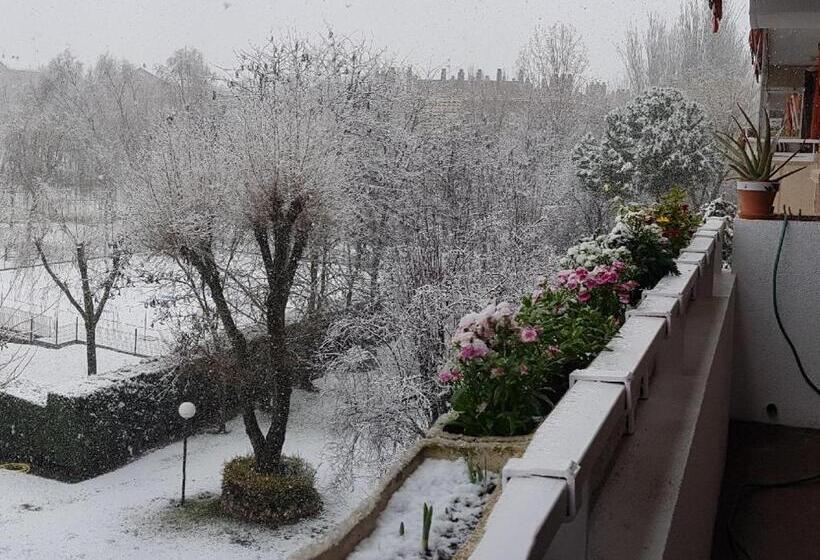 اتاق لوکس, Modern B&b Somosaguas