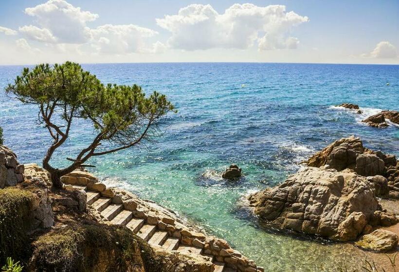 آپارتمان 1 خوابه, Bertur Gran Reserva Comte Empuries