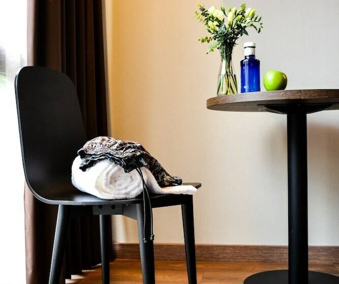 اتاق استاندارد, America Barcelona