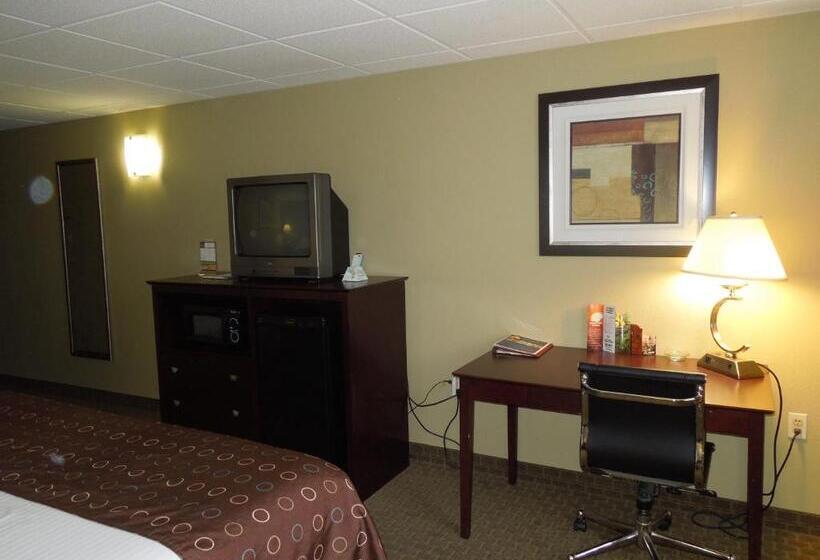 غرفة قياسية سرير كينج, Best Western Airport Inn & Suites Cleveland