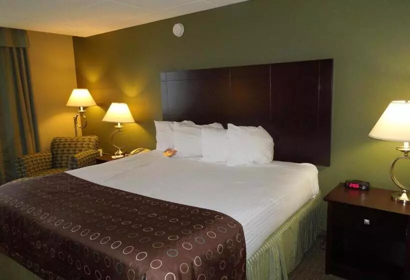 Standard-huone King-vuode, Best Western Airport Inn & Suites Cleveland