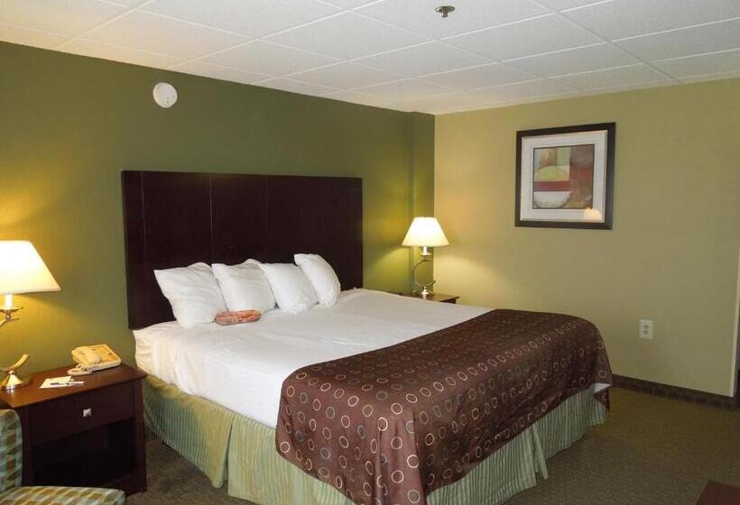 غرفة قياسية سرير كينج, Best Western Airport Inn & Suites Cleveland