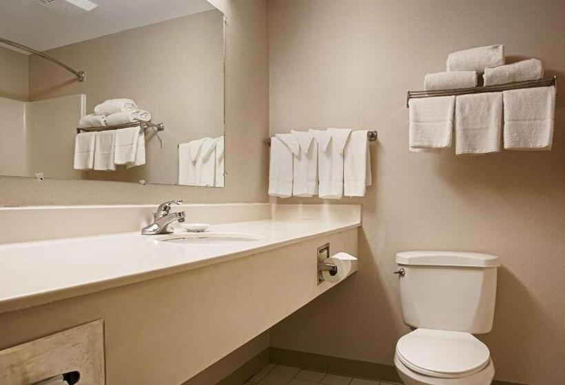 Стандартный Номер Кровать Кинг, Best Western Airport Inn & Suites Cleveland