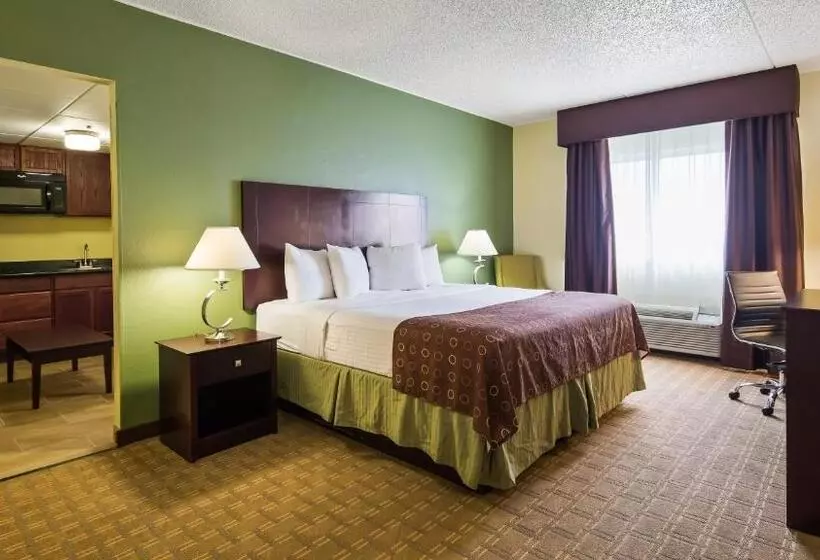Sviitti King-vuode, Best Western Airport Inn & Suites Cleveland