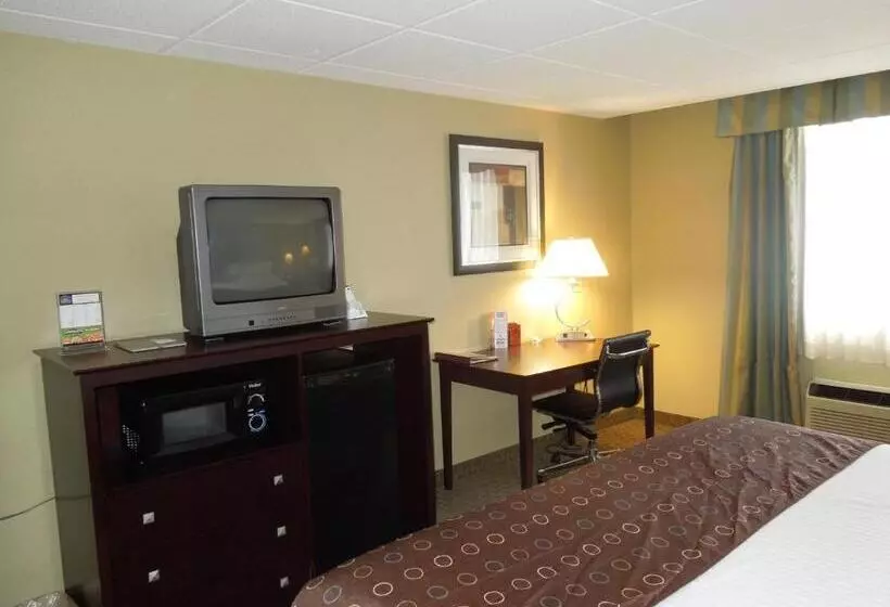 Sviitti King-vuode, Best Western Airport Inn & Suites Cleveland