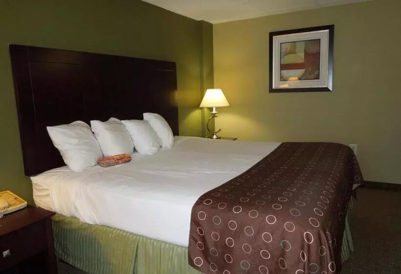 Sviitti King-vuode, Best Western Airport Inn & Suites Cleveland