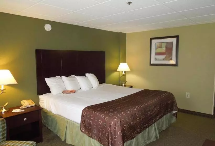 Standard-invahuone King-vuode, Best Western Airport Inn & Suites Cleveland