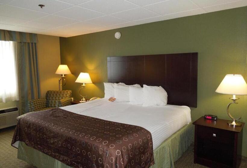 غرفة قياسية سرير كينج لذوى الإحتياجات الخاصة, Best Western Airport Inn & Suites Cleveland