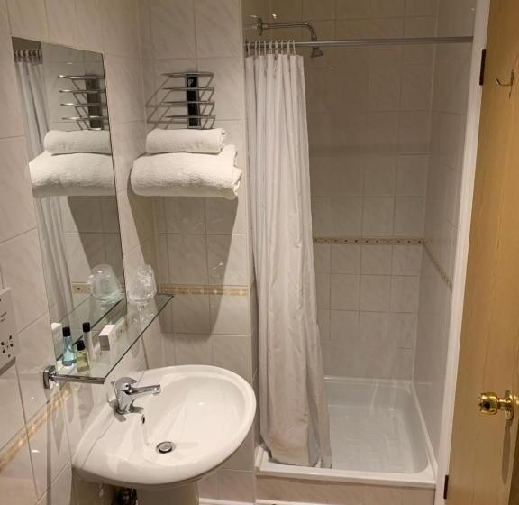 スタンダードシングルルーム, Best Western Carlton