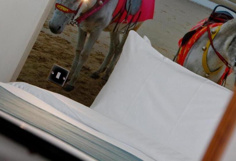 オーシャンビュースーペリアールーム, Best Western Carlton