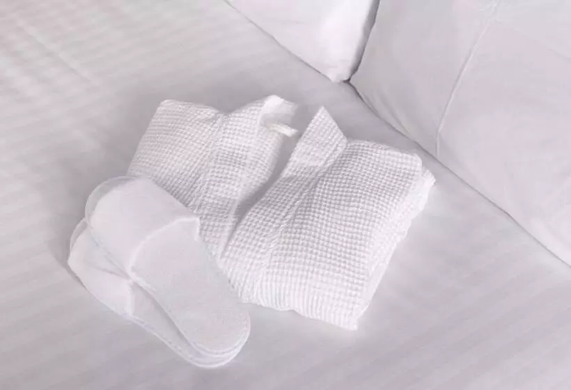 اتاق سوپریور برای معلولان, Best Western Carlton
