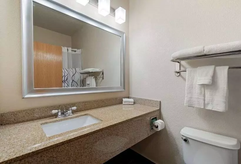 سوییت, Best Western Plus Dfw Airport Suites