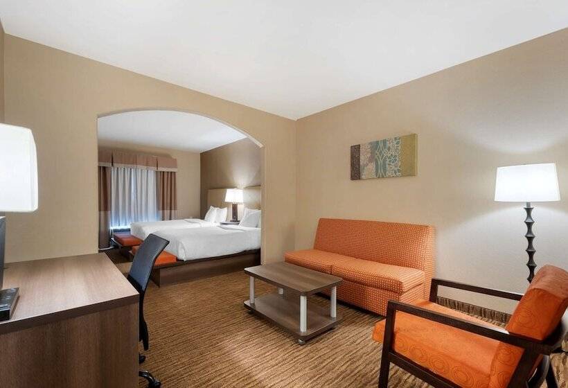 스위트, Best Western Plus Dfw Airport Suites