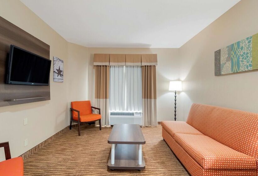 스위트, Best Western Plus Dfw Airport Suites