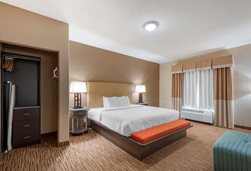 스위트, Best Western Plus Dfw Airport Suites