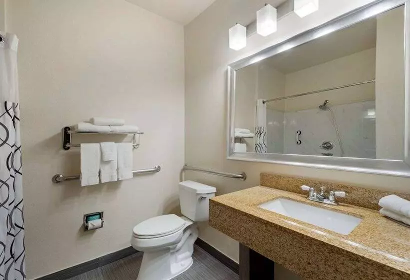 سوئیت برای معلولان, Best Western Plus Dfw Airport Suites