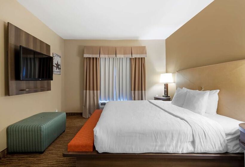 Suite Przystosowany dla Osób Niepełnosprawnych, Best Western Plus Dfw Airport Suites