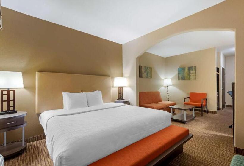 Suite Łóżko King Size, Best Western Plus Dfw Airport Suites
