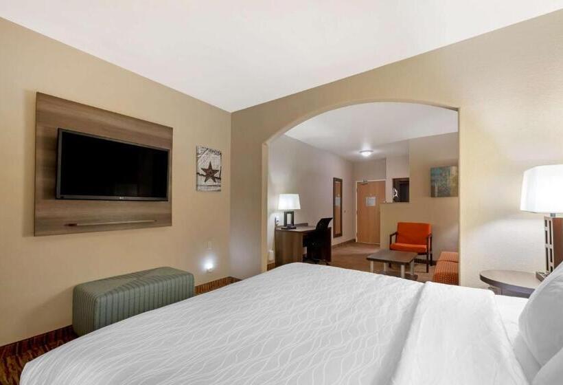 스위트 킹사이즈 침대, Best Western Plus Dfw Airport Suites
