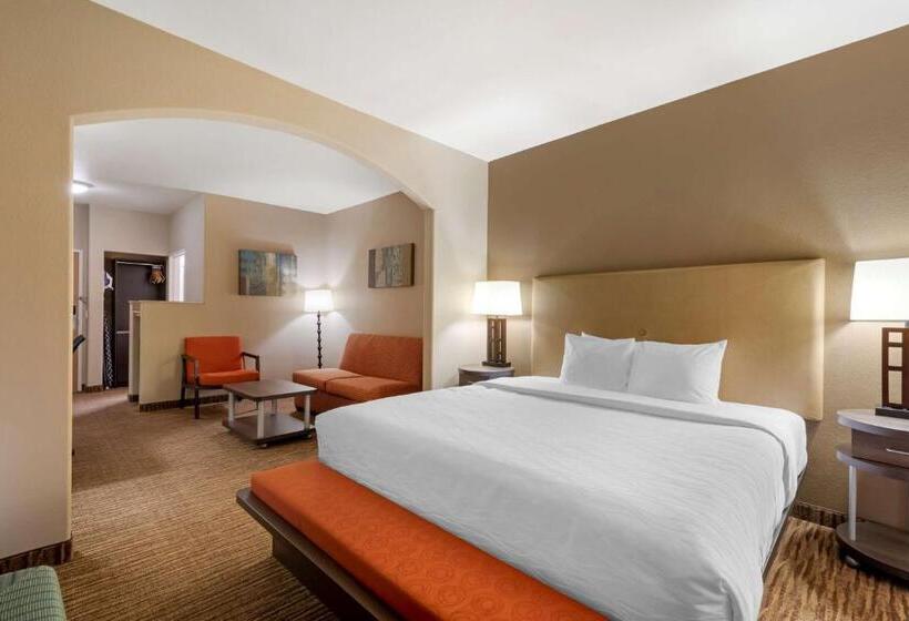 Suite Łóżko King Size, Best Western Plus Dfw Airport Suites