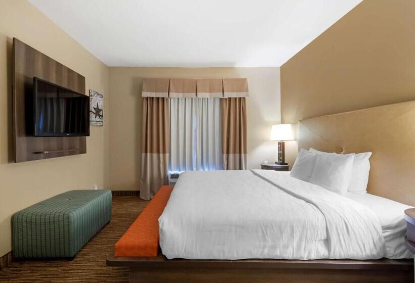 장애인을 위한 스위트, Best Western Plus Dfw Airport Suites