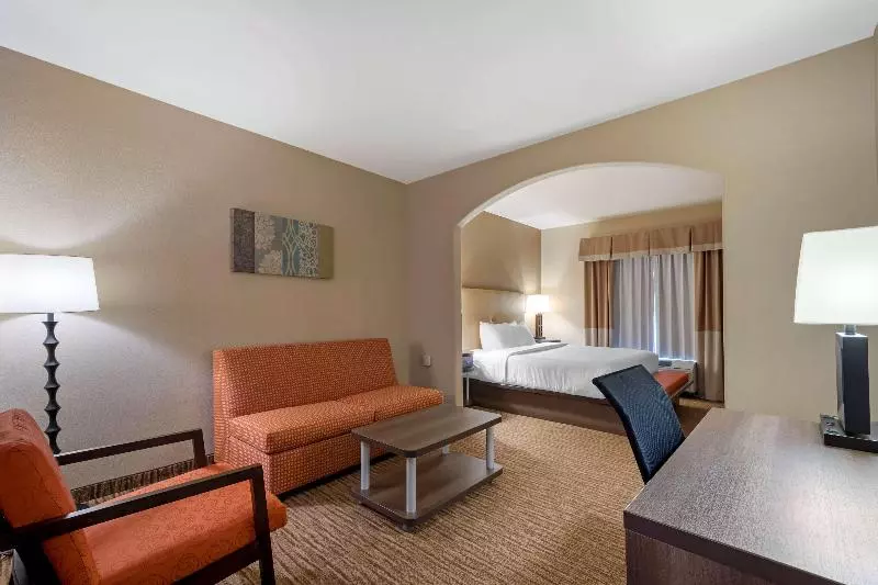 سوئیت با تخت بزرگ, Best Western Plus Dfw Airport Suites
