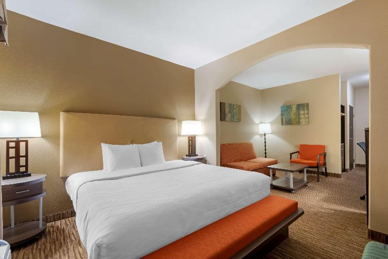 Suite Łóżko King Size, Best Western Plus Dfw Airport Suites